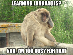 blog o nauce języków